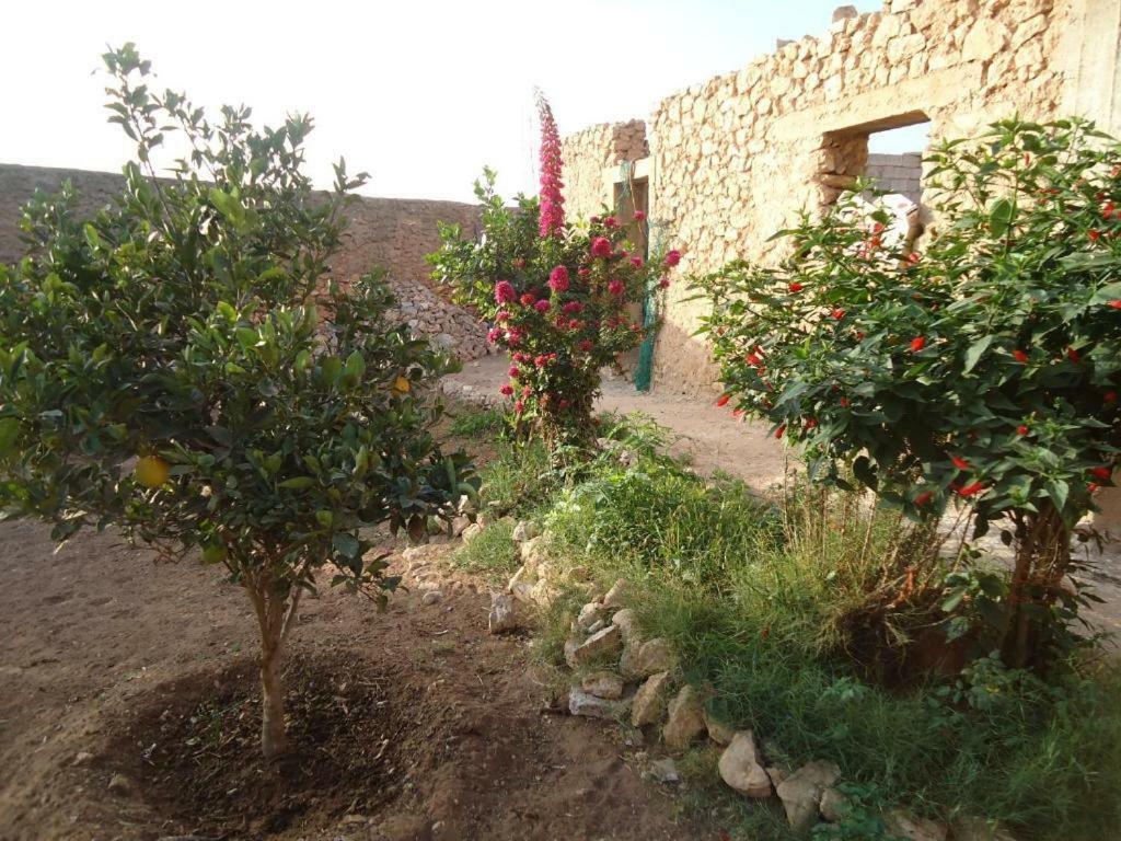 Apartamento Takad Dream Rural El Borj Exterior foto